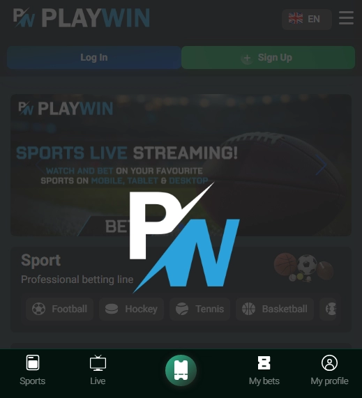 PlayWin Casino